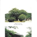 신흥인쇄소 - 문경시 | 신흥인쇄소
