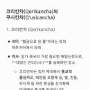 누에보 인터내셔널