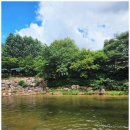 자연속으로 나를 찾아서 이미지