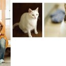 준 pet 이미지