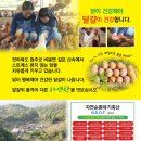 한울디자인 이미지