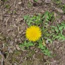 천지농장2 이미지