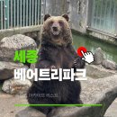 세종 베어트리파크 할인 입장료 맛집 식당 가을 방문 후기