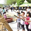 담양대나무축제 이미지