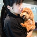 블링펫 | 명지 애견미용 펫피플 두 번째 내돈내산 찐후기