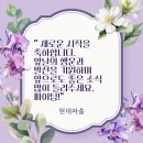 Y Bar(와이바) 이미지