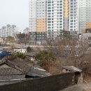 중앙초앞 이미지