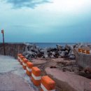 씨사이드모텔(시사이드모텔) 이미지