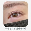인계동 1028 | 수원속눈썹연장 잘하는곳 인계동 반하다뷰티 C컬연장 후기