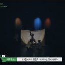 개굴개굴고래고래 이미지