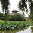 송산휴게소(던킨도너츠) 이미지