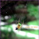 창신목장 이미지