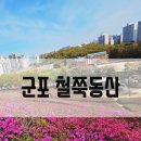 수리동주민센터 | 4월 꽃축제 군포 철쭉동산(feat.가족/연인 데이트장소)