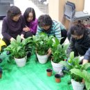 생활원예 강좌 이미지