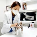 올림픽동물의료센터 이미지