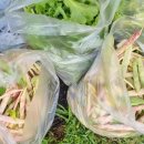 마전농장 이미지