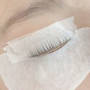 메디포올 | 압구정 속눈썹펌! 얇고 힘없는 속눈썹도 살아나는 메디포올 후기