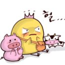 해피카워시 이미지