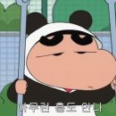 다공 이미지