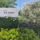 연미2길 이미지