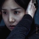 빛과 사진 이미지