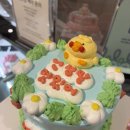 해피베어 | 명동케이크 해피베어데이 후기