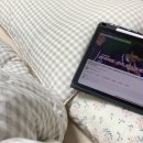 대학생의 3월 일상모음