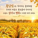 10월6일화요일출석부 노년 생존 전략 실전편 이미지