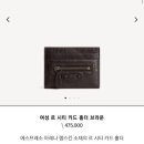 정관장 대전신세계백화점아트앤사이언스점 | 발렌시아가 르 시티 롱 동전 & 카드 홀더 볼캐닉 록 후기, 여자 명품 지갑 추천