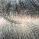ㅣ유아린헤어 / 강릉 미용실 추천 / 헤드스파 / 헤어맛집 / 두피스케일링후기 / 강릉헤어샵 / 교동 미용실