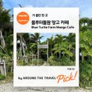 터틀팜 이미지