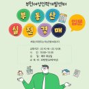 부동산 경매 입문&실전 과정 이미지
