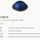 총알 코스트코 | 네스프레소 버츄오 캡슐 100개와 캡슐 디스펜서 구매후기
