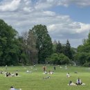 (주)나루아토 이미지