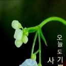 부활장의사 이미지