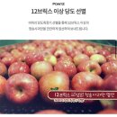 채다움 청송세척사과 리얼후기