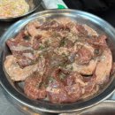 돗배갈매기 이미지