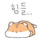 구미수산물 이미지
