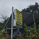 수지식당 - 안산시 단원구 번영로 50 | 수지식당