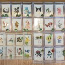 뿌리깊은나무태권도장 이미지