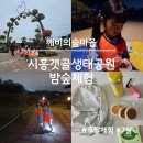 시흥 어린이 체험, 시흥갯골생태공원 밤숲 체험 후기(깨비의숲마을)