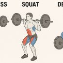 제로백피트니스 이미지