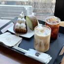 하늘담쟁이 | 남양주뷰좋은카페 대너리스 솔직 후기 (주차 편한 북한강뷰 포토스팟)