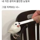 석송가든식당 네이버블로그
