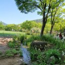 대구수목원 이미지