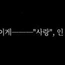 이씨디 이미지