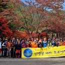 은가비송 이미지