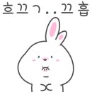 다오곳 이미지