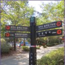 안골길 9 이미지