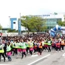 천지자원 이미지